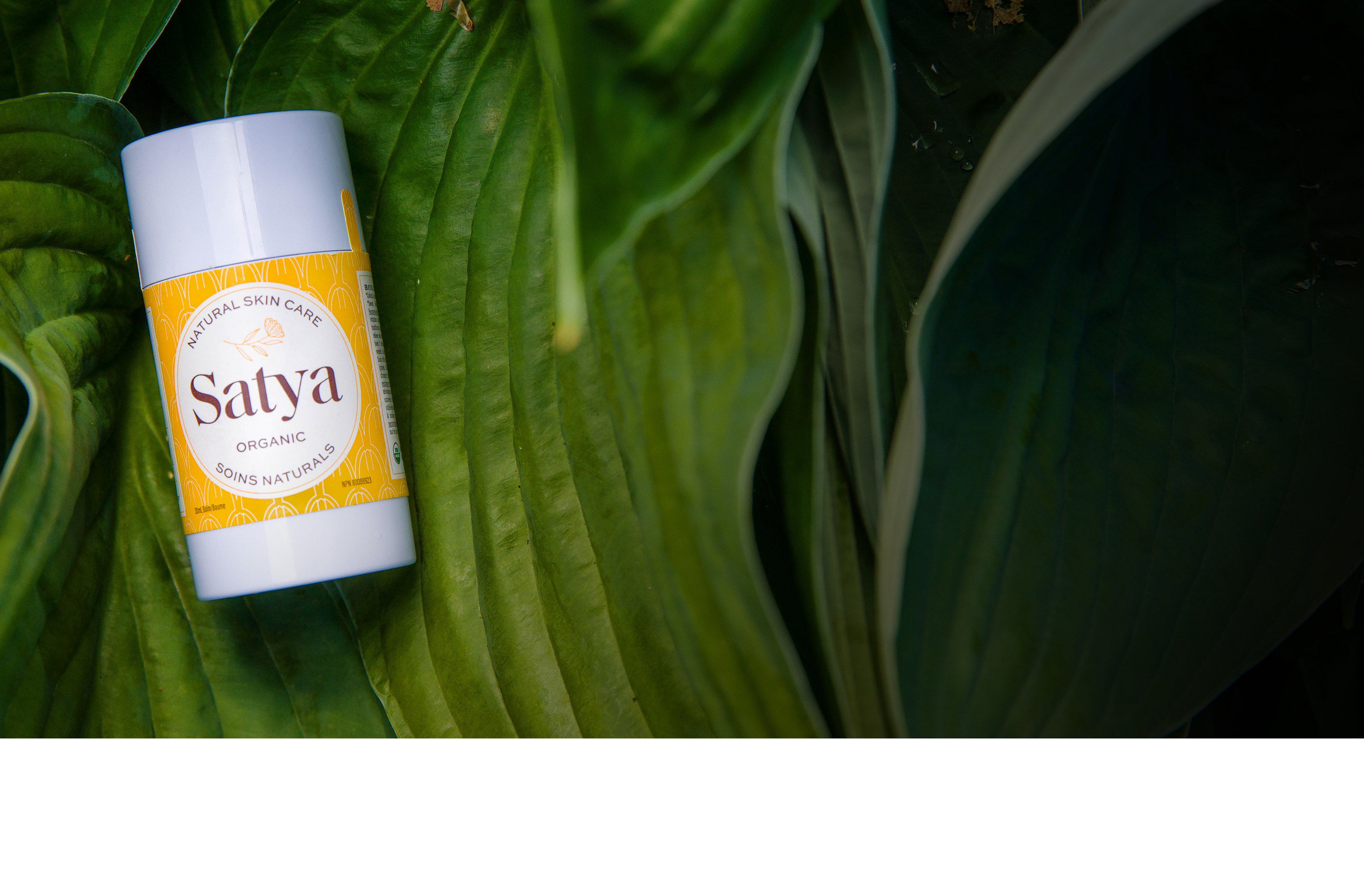 Satya Organic  Simply Natural Skincare for Eczema & Dry Skin – Satya  Organic Canada